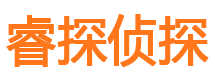 北流侦探公司